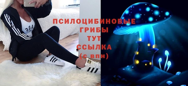 PSILOCYBIN Пестово